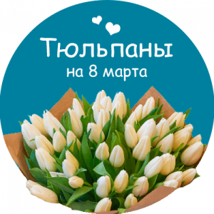 Купить тюльпаны в Черногорске